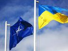 Заседания комиссии Украина-НАТО на уровне глав МИД на этой неделе не будет, - пресс-служба Альянса