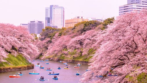 Со следующего года выезд из Японии для туристов будет платным