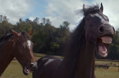 Видеохит: хохочущие кони забавно прорекламировали Volkswagen (видео)