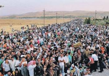 Німеччина відкладає висилку мігрантів в Афганістан