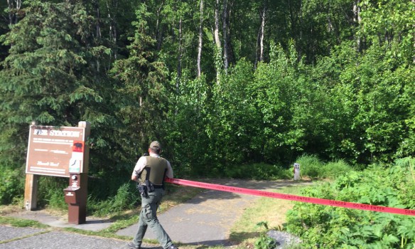 На Аляске медведь загрыз 16-летнего участника забега