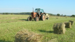 Фермерство як бізнес: хто такі українські фермери і з якими проблемами вони стикаються?