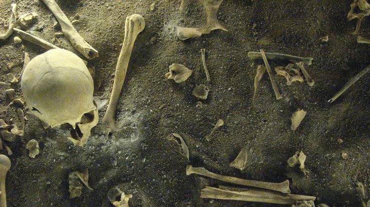 Найденные в Перу скелеты рассказали ученым о страшном древнем ритуале