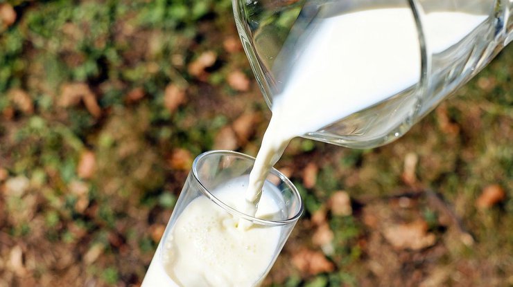 Плюсы и минусы молока: 7 популярных мифов