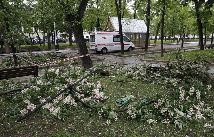 Ураган в Москве и Подмосковье: 11 погибших, почти 140 человек пострадали