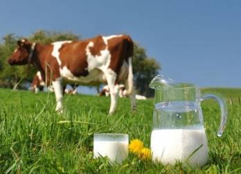 Депутаты предлагают ввести нулевую ставку НДС на поставки молока в Украине