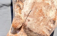 В Египте обнаружена деревянная статуя возрастом четыре тысячи лет