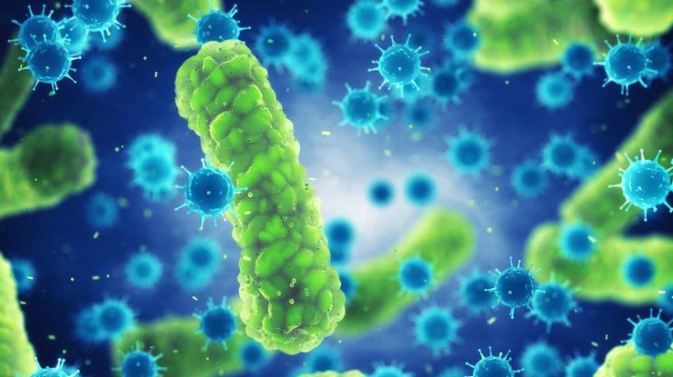 Тяжелые инфекции будут лечить вирусами - ученые