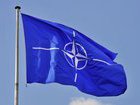 НАТО може використовувати свою кіберзброю щодо Росії, - Newsweek