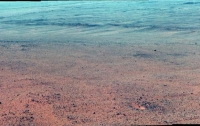 NASA опубликовало снимок речной гальки Марса