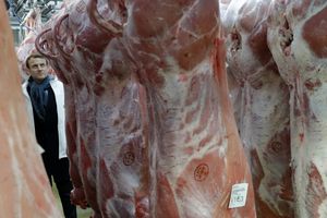 В Украине производят все меньше свежей свинины