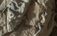 Марсоход Curiosity обнаружил похожие на окаменелости структуры на Марсе