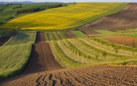 Украинцы смогут обменивать земельные участки