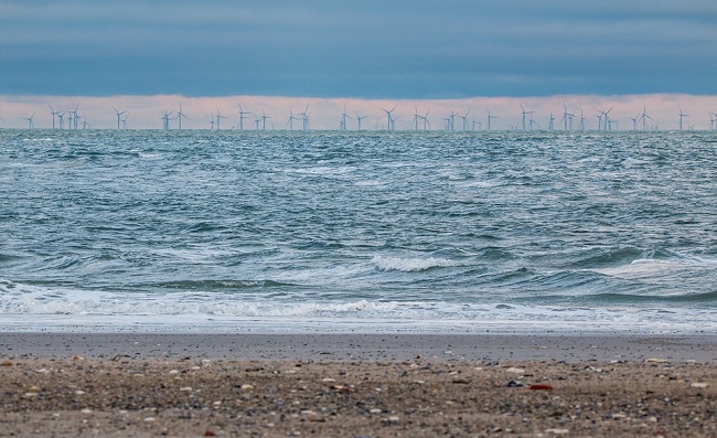 Polish energy giant seeking wind farm partner: report