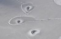 Ученые не могут объяснить странные дыры во льдах Арктики