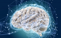 Исследователи обнаружили еще одну способность мозга