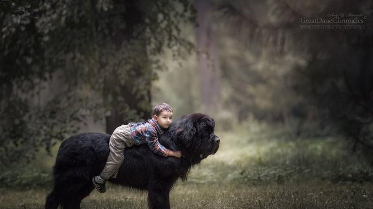 Маленькие дети и их больше собаки: уникальный фотопроект Андрея Селиверстова (фото)